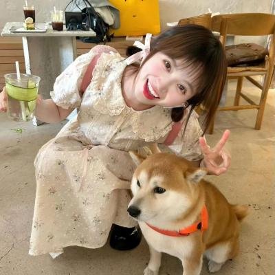 少年如歌